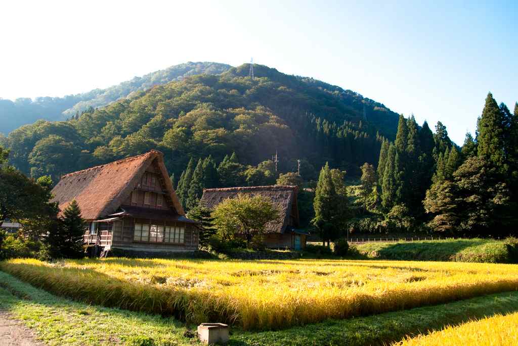 Tempat Menarik di Jepang Sesuai Musim 