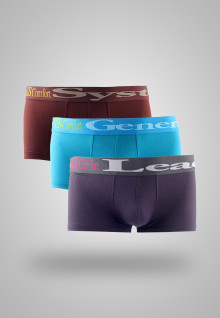 LGS Underwear - Purple/Blue/Brown - 3 Pcs