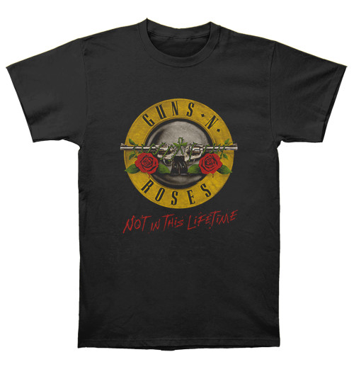 Guns N Roses - Not In This Lifetime
